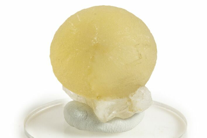 Botryoidal Yellow Fluorite on Quartz - India #342392